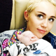 Illustration for article titled Miley Cyrus Adopted a Little Tiny Piglet